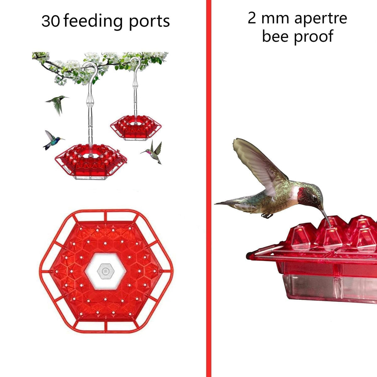 ✨Hummingbird Feeders for Outdoors Hanging