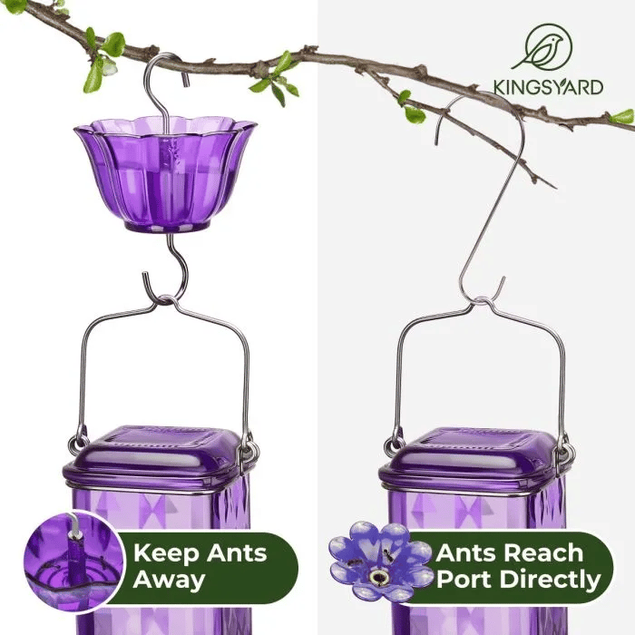 Glass Hummingbird Feeder