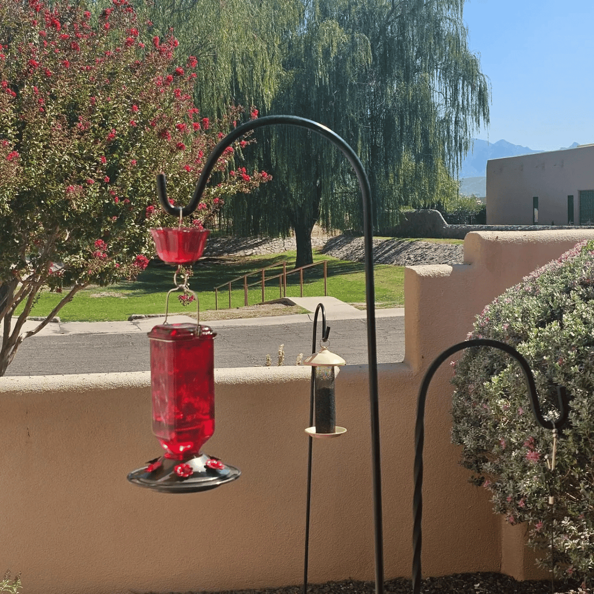 Glass Hummingbird Feeder