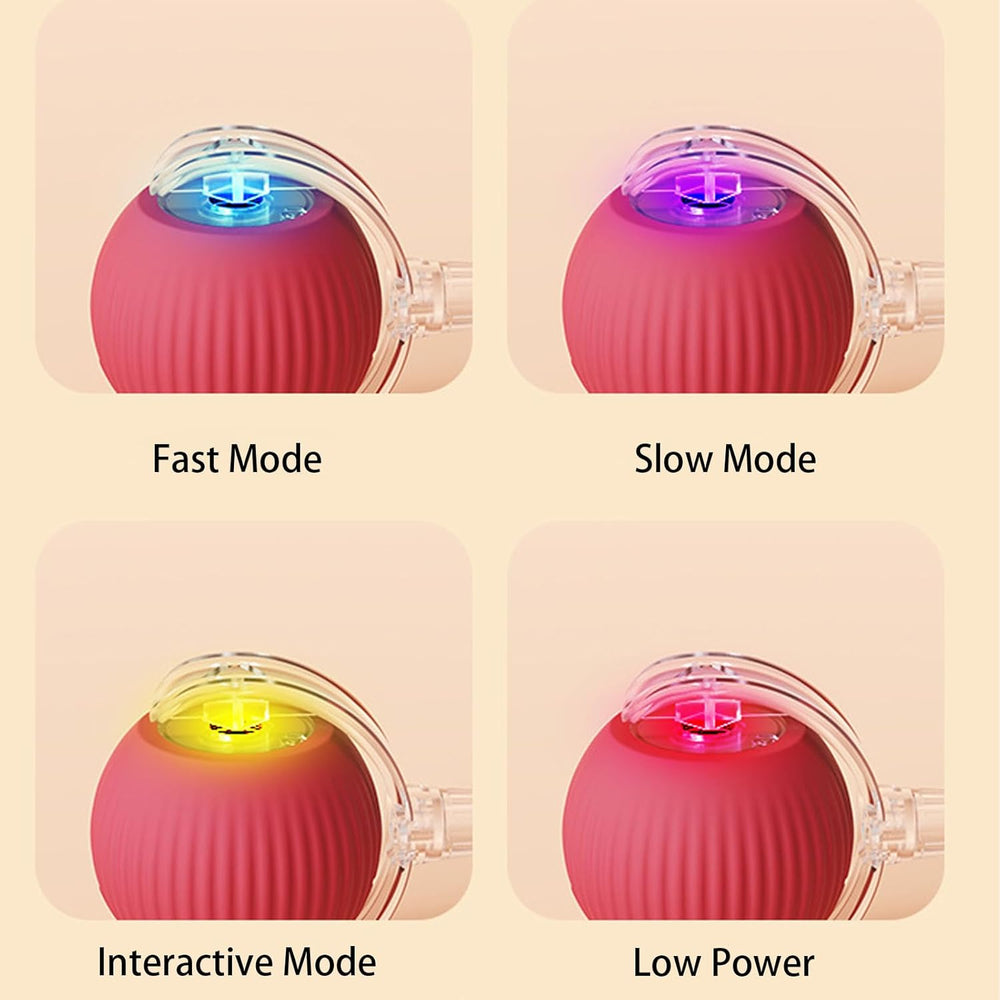 RolliePet smart chase pet toy ball