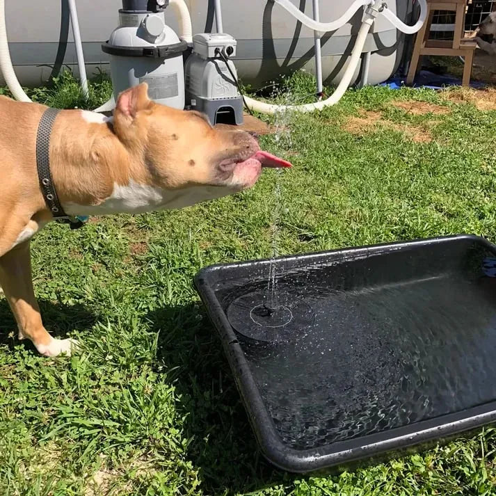 (🎁2024 New Year Hot Sale🎁)Solar Powered Water Fountain