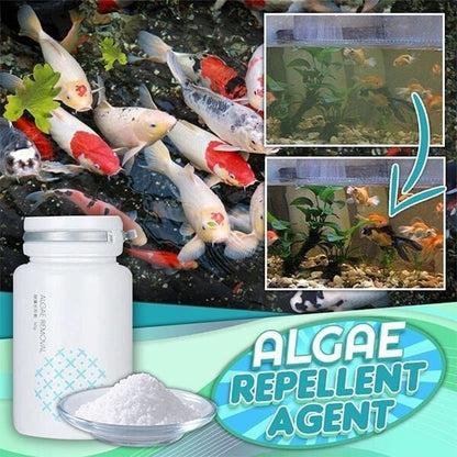 (🎁2024 New Year Hot Sale🎁)🔥-🌺NEW Algae Repellent Agent