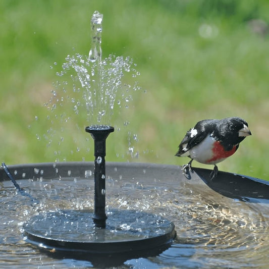 LAST DAY 49% OFF🔥Solar-Powered Bird Fountain Kit