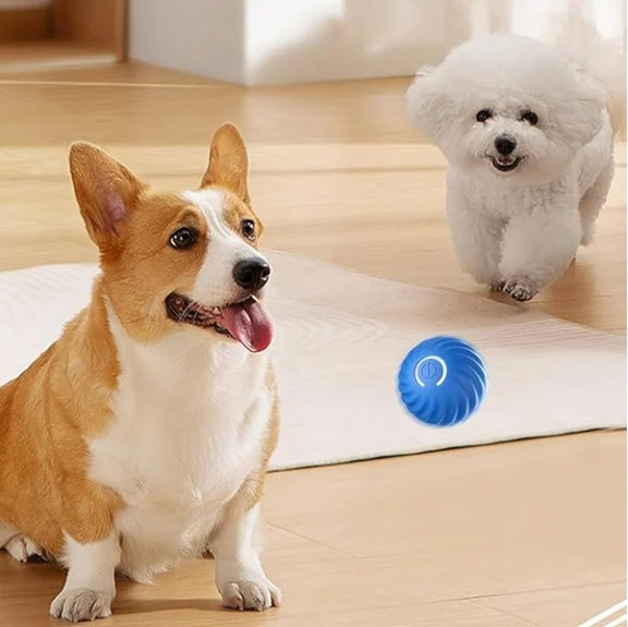 (🎁2024 Hot Sale 59% OFF🎁)🐱Automatic Smart Pet Ball🐶