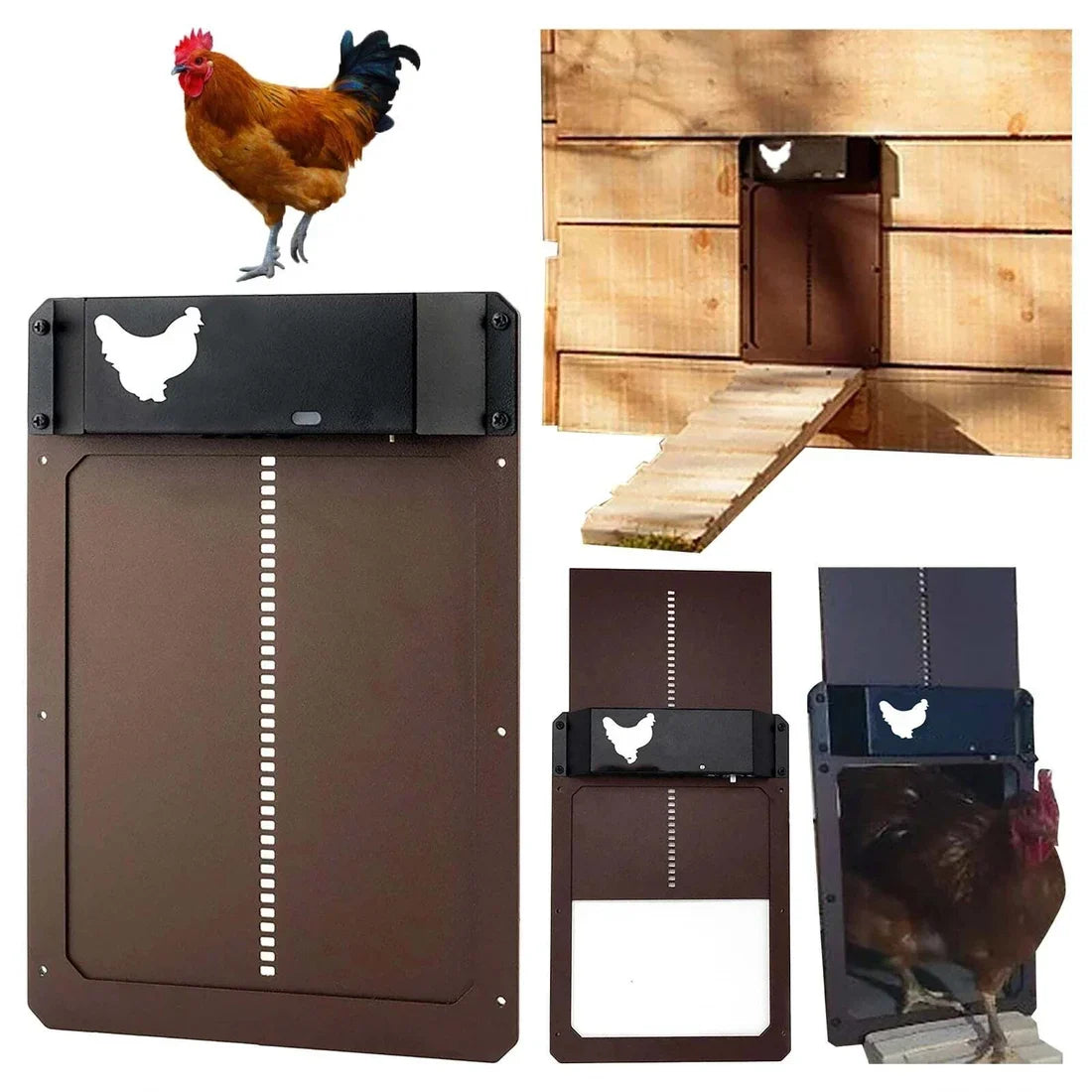 (🎉Flash Sale🎉- 49% OFF)-Automatic Chicken House Door