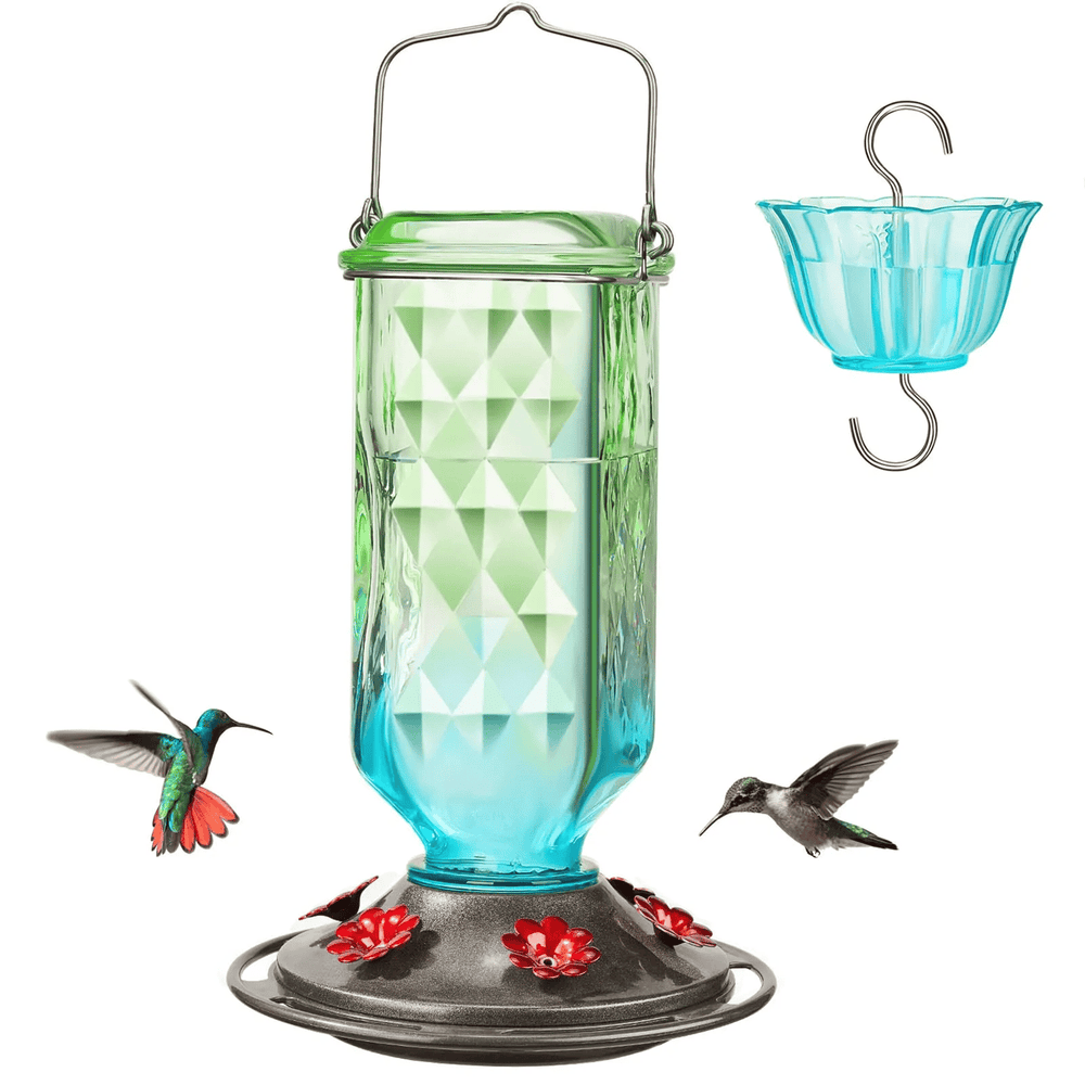 Glass Hummingbird Feeder