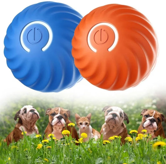 (🎁2024 Hot Sale 59% OFF🎁)🐱Automatic Smart Pet Ball🐶